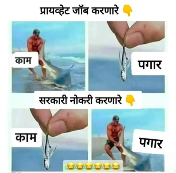 खाजगी आणि सरकारी नोकरी मधला फरक