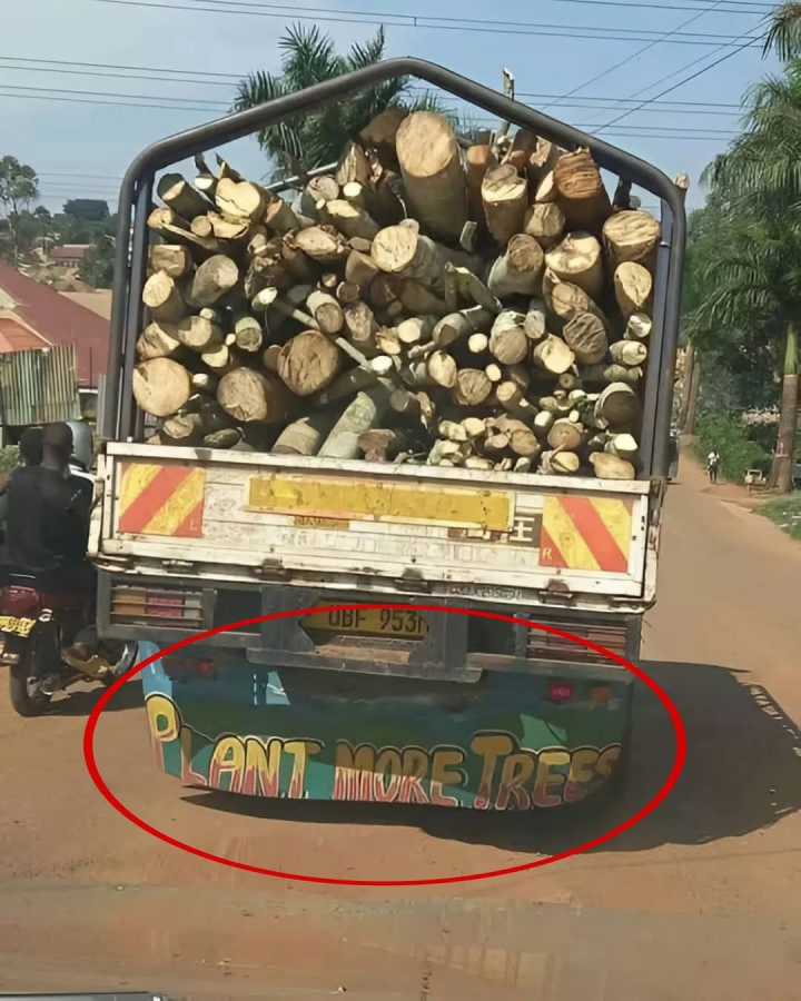 আয়রনি একেই বলে?