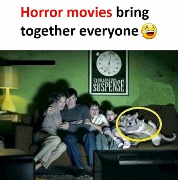 ভয়ের সিনেমা!