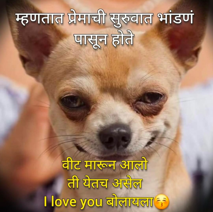 असले भांडण