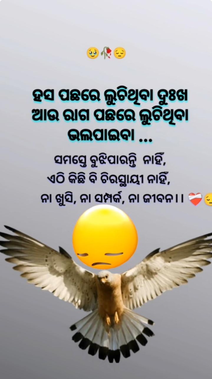 ହସ ପଛରେ ଲୁଚି ଥିବା ଦୁଃଖ