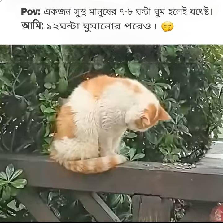 কিছু কি বলার আছে...