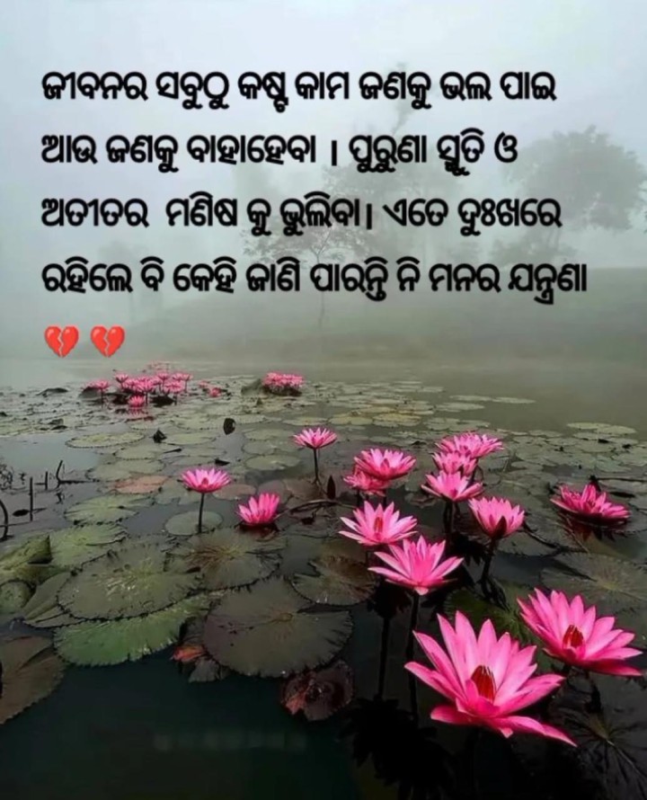 ଜୀବନରେ ସବୁ ଠୁ ବଡ଼ କଷ୍ଟ