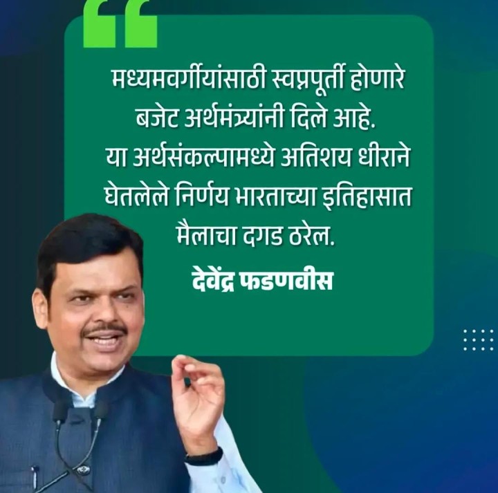 फडणवीस म्हणतात
