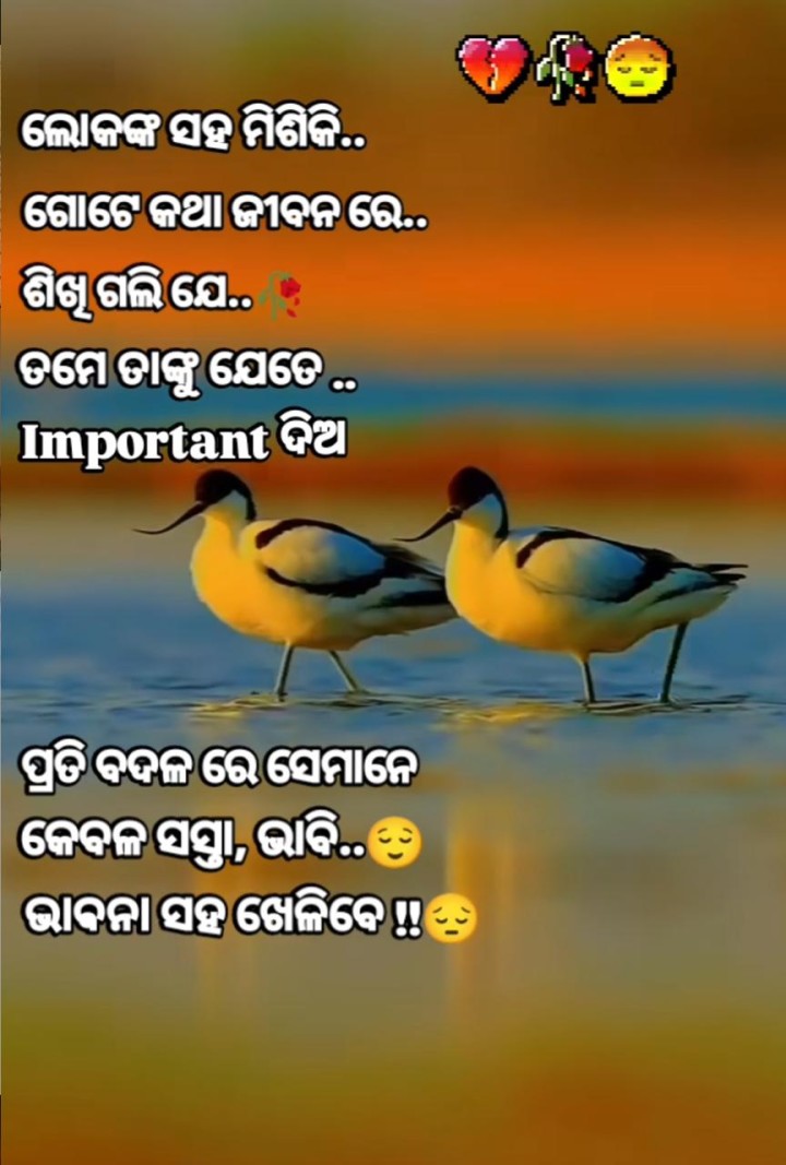 ଲୋକ ଙ୍କ ସହ ମିଶିକି ଗୋଟେ କଥା ଶିଖିଲି