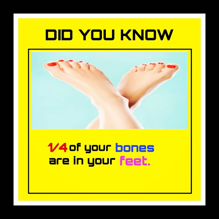Did You Know?