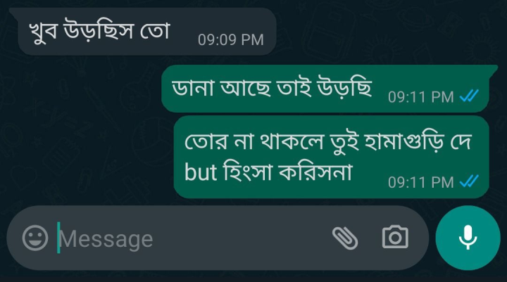 ডানা আছে তাই!