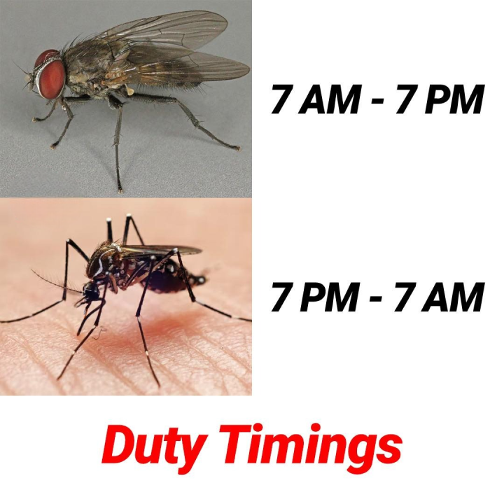 চাকরির টাইমিং?