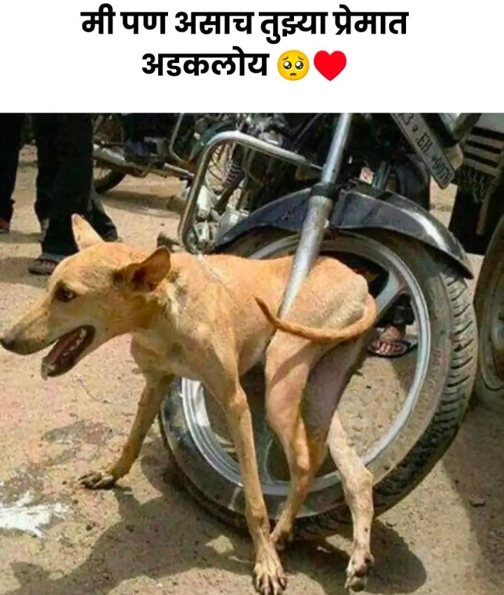 तुम्ही पण असेच अडकलात का प्रेमात ?