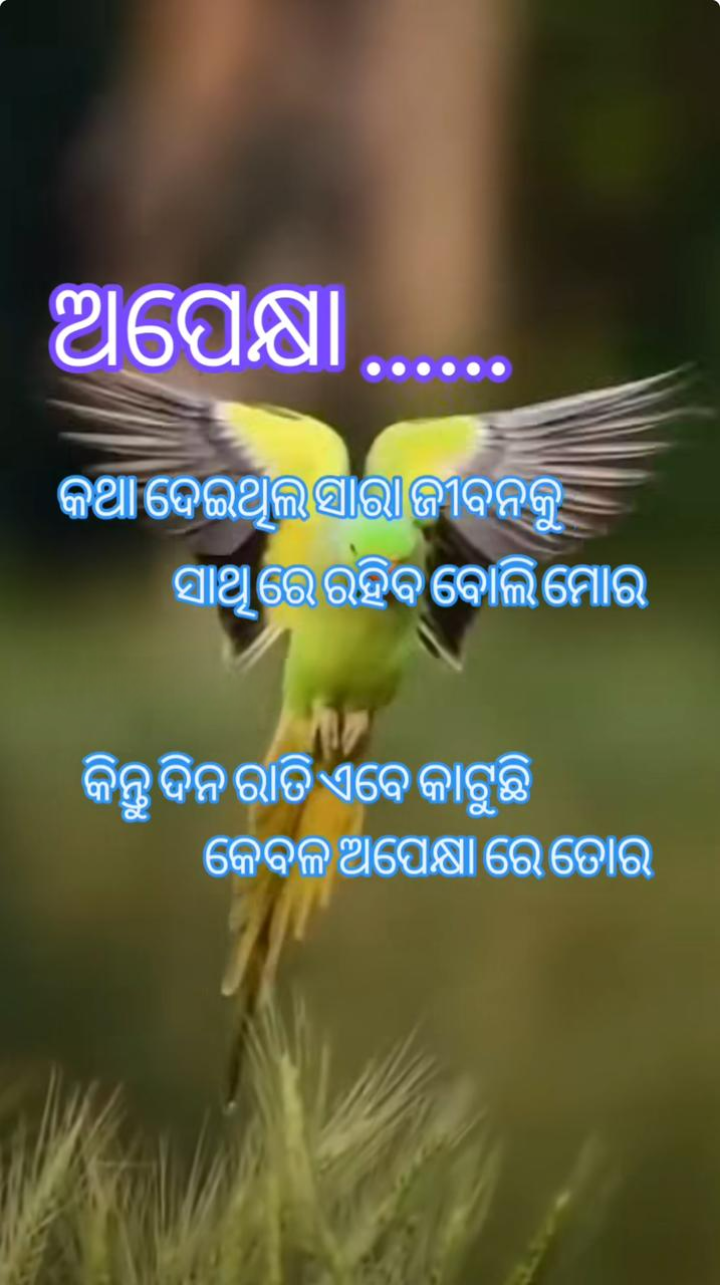 ଅପେକ୍ଷା କଥା ଦେଇ ଥିଲା