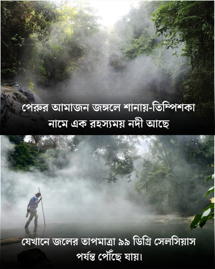 পেরুর জঙ্গলের এক বইচিত্র ময় নদী...