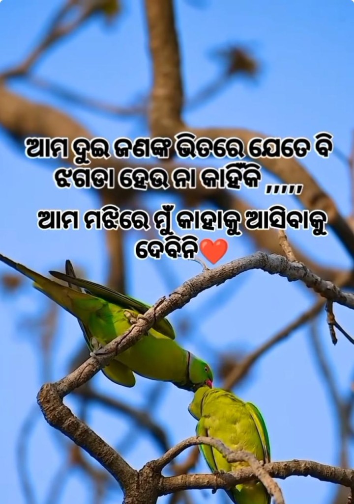 ଆମ ମଝି ରେ କେହି ଆସିବେନି