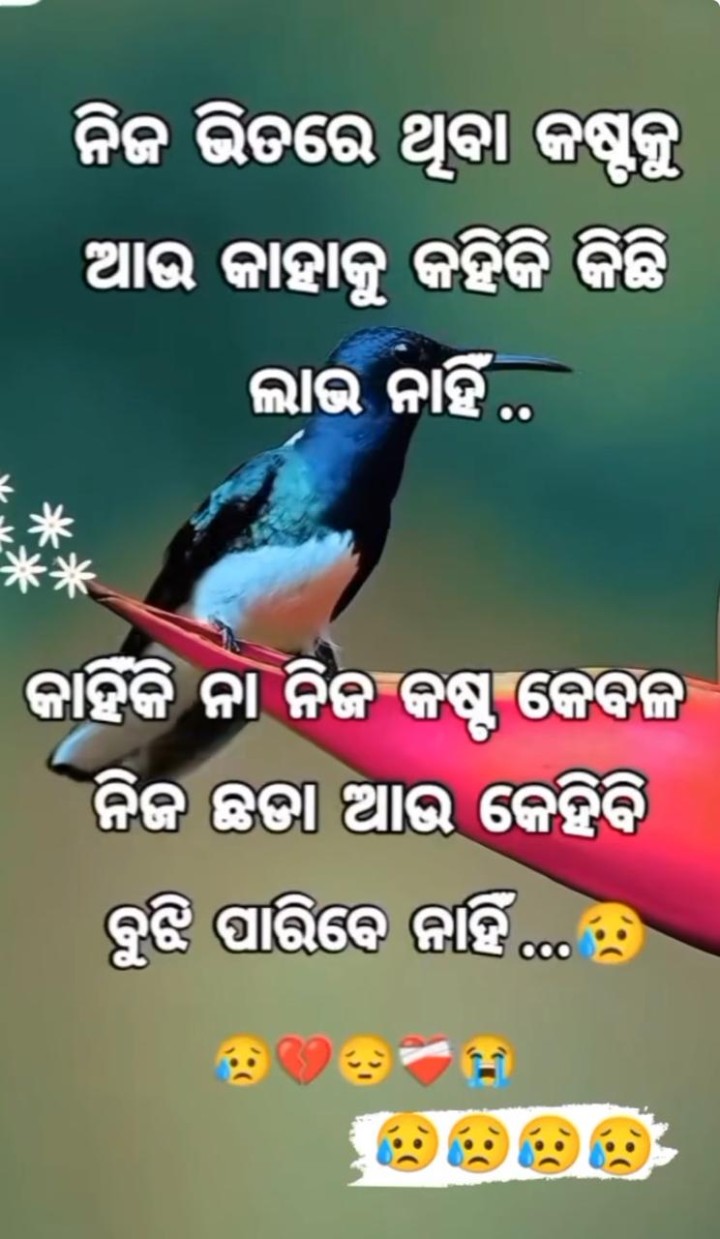 ଆଉ କାହାକୁ କହିକି କିଛି ଲାଭ ନାହିଁ