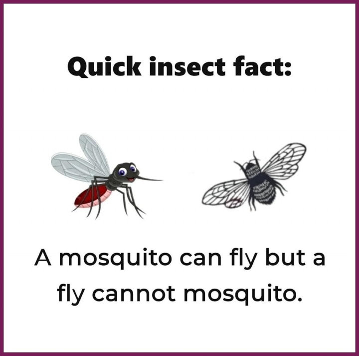 ওরা উরির কথা!