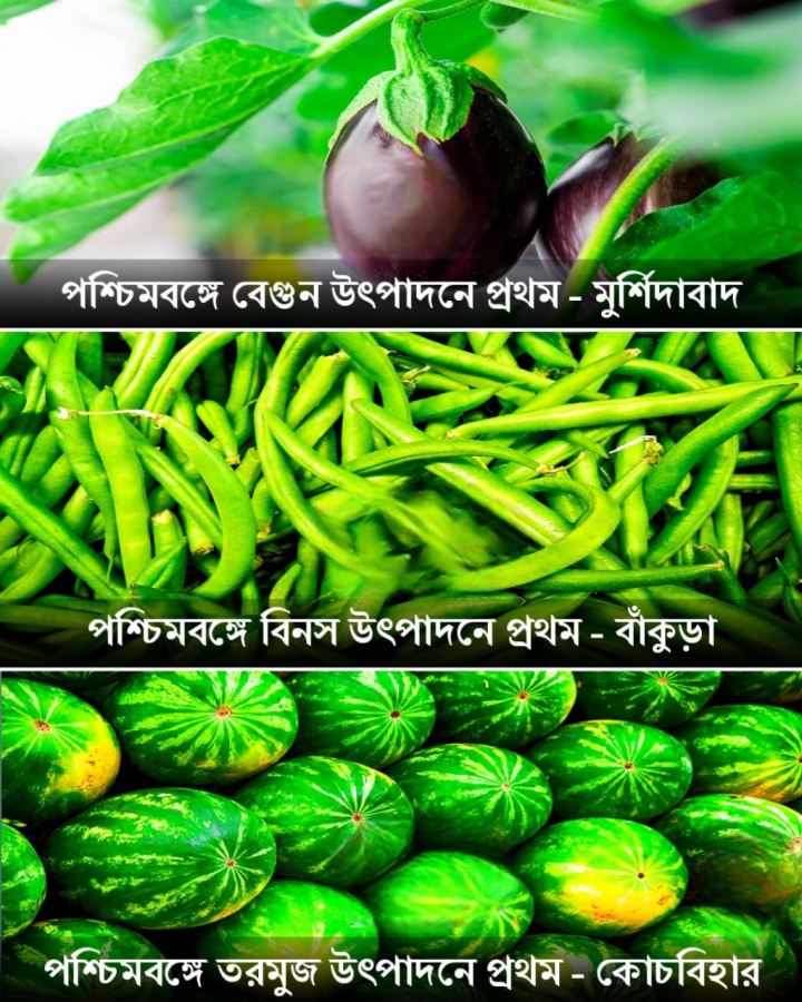 পশ্চিমবঙ্গ ও সব্জি কথা।
