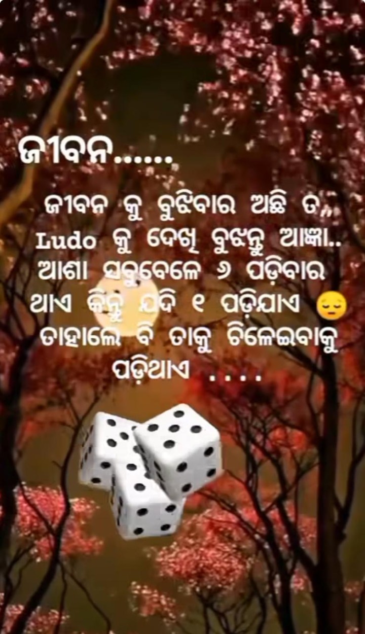 ଜୀବନକୁ ବୁଝେଇବାର ଅଛି ତ
