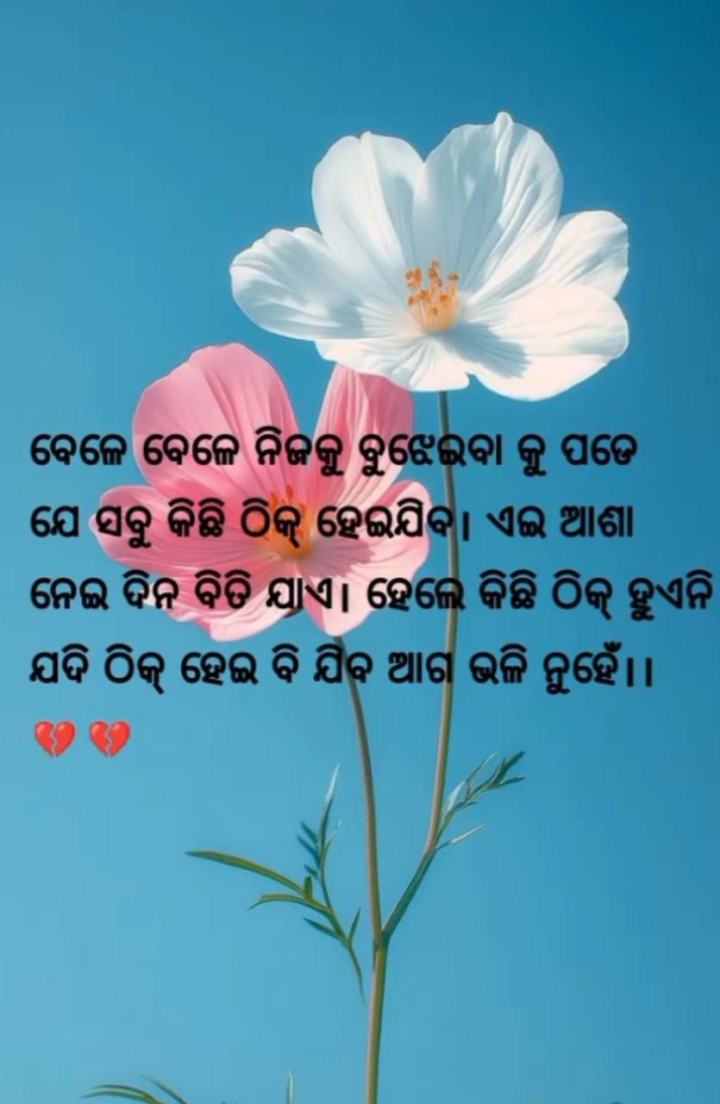 ବେଳେ ବେଳେ ନିଜକୁ ବୁଝେଇବାକୁ ପଡ଼େ