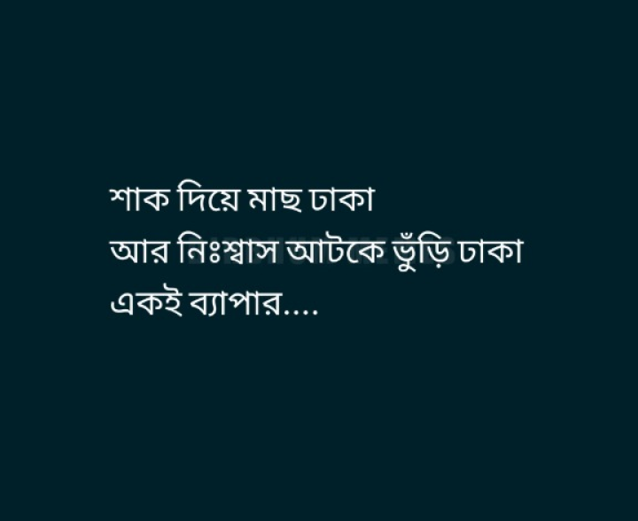 শাক দিয়ে মাছ ঢাকা আর...
