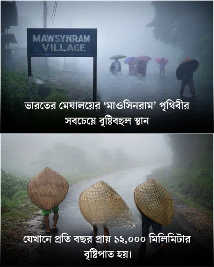 বিশ্বের সব থেকে বেশি বৃষ্টি হয় এই দেশেই।