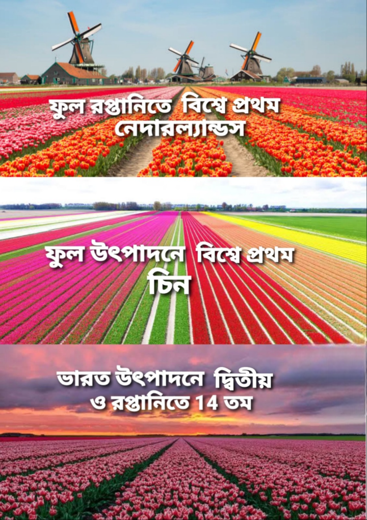 অথ ফুল কথা...