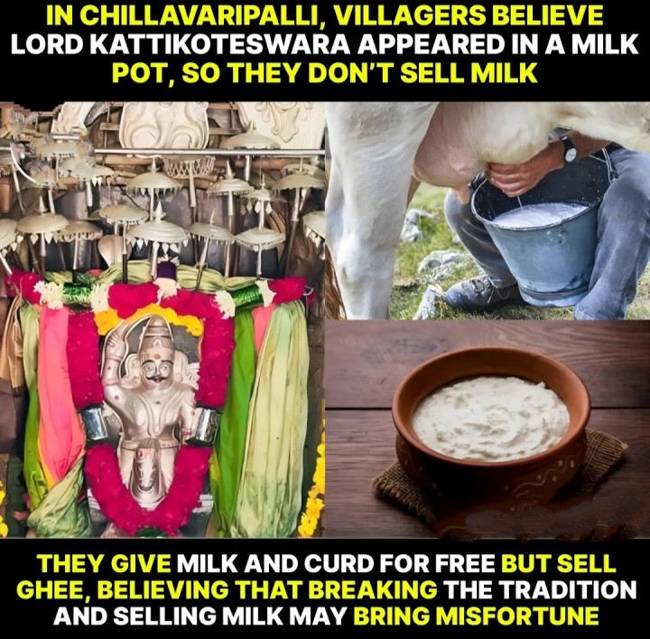 Palu perugu ammani uru anta