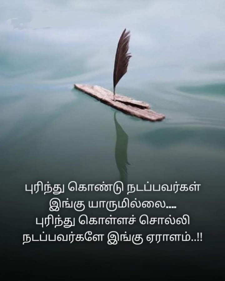 புரிந்து நடப்பவர்
