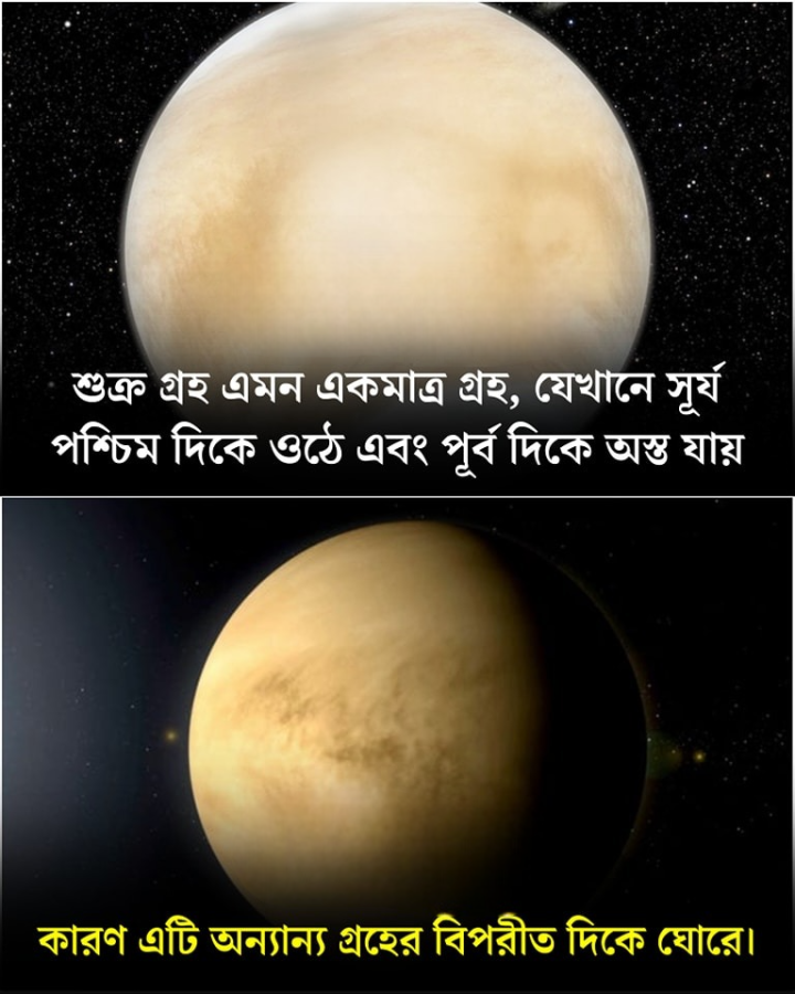 অভিনব গ্রহ শুক্র। জানুন সেই গ্রহের বিষয়ে আরও কিছু অবাক করা তথ্য।