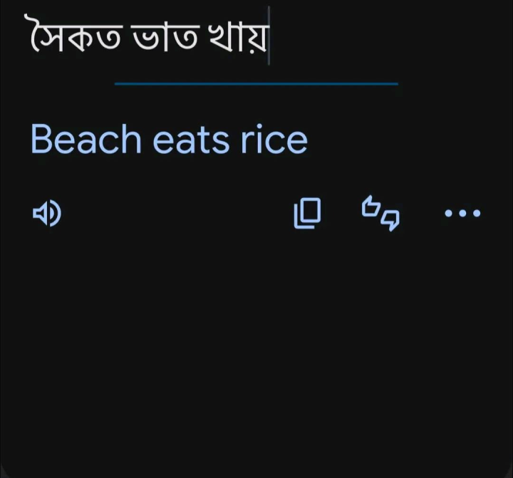 অটো ট্র্যান্সলেশান যখন এমন বিপত্তি ঘটায়...