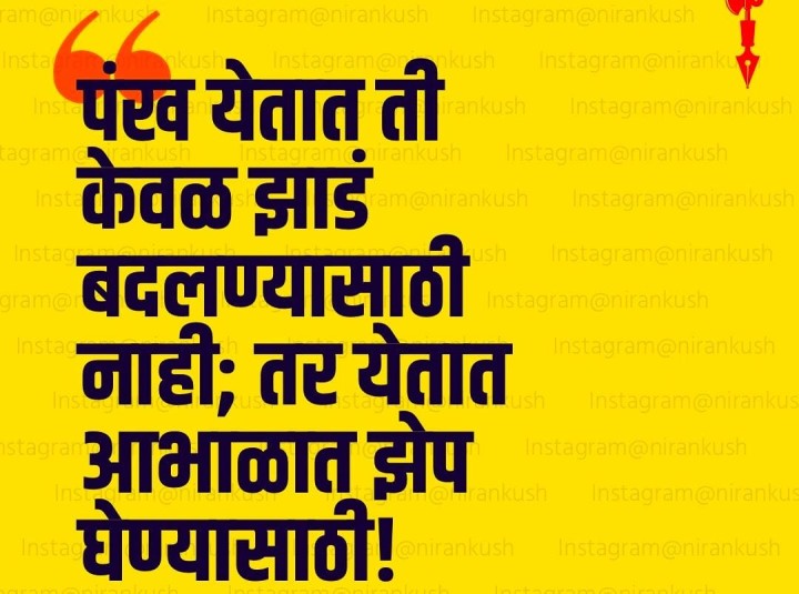 झेप घेण्यासाठी