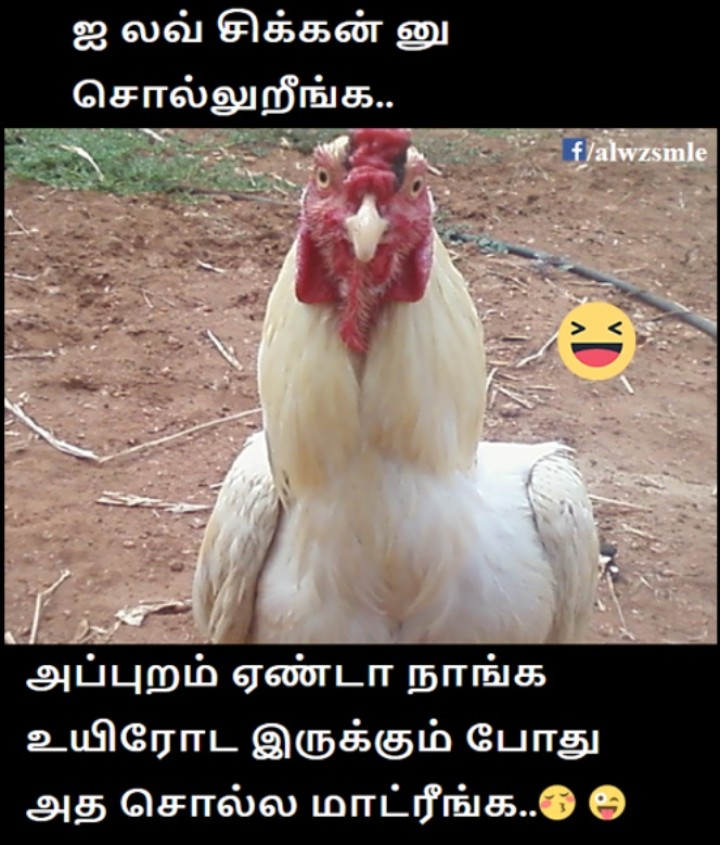 செத்தாதான் சிக்கன்னு லவ் பன்னுவோம்.