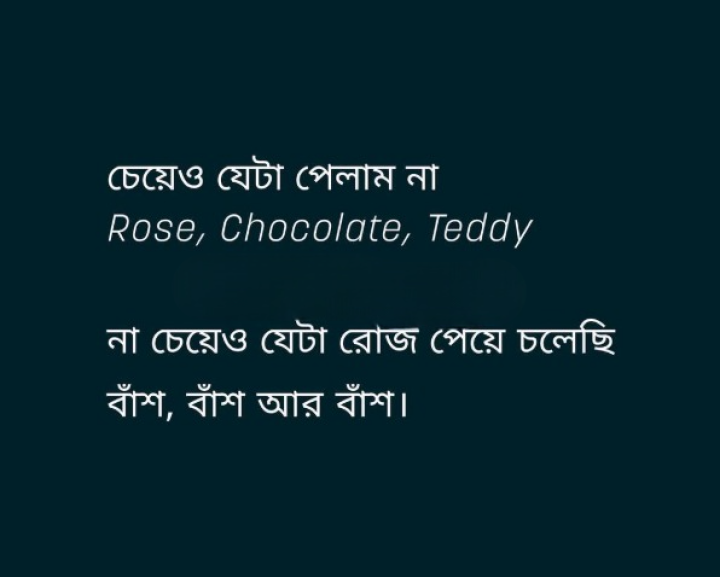 কত কিছু চাইলাম পেলাম না সে সব পেলাম শুধুই বাঁশ।