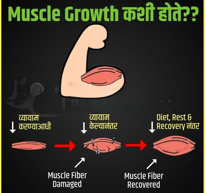 मसल ग्रोथ कशी होते ?