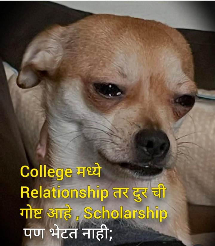 माझी व्यथा मलाच माहित