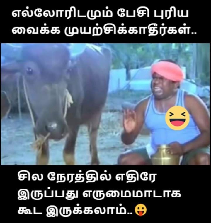 எருமைக்கு  புரியவே புரியாது.