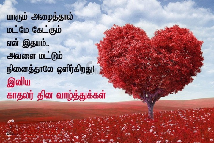 நான் உன்னை நேசிக்கிறேன் அன்பே. காதலர் தின வாழ்த்துக்கள்!