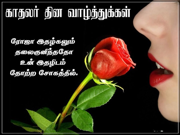 அன்பான காதலர் தின வாழ்த்துக்கள்!