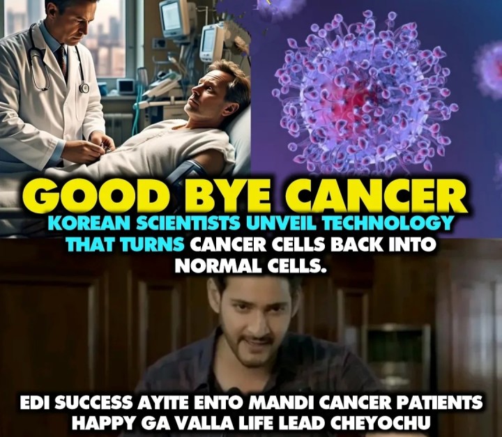 Cancer cells ni normal cells chesestaranta