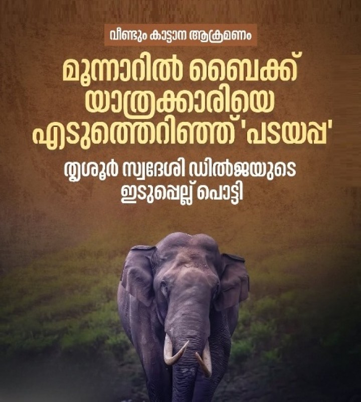 മൂന്നാറിൽ പടയപ്പയുടെ ആക്രമണത്തിൽ സ്ത്രീയ്ക്ക് ഗുരുതര പരിക്ക്.