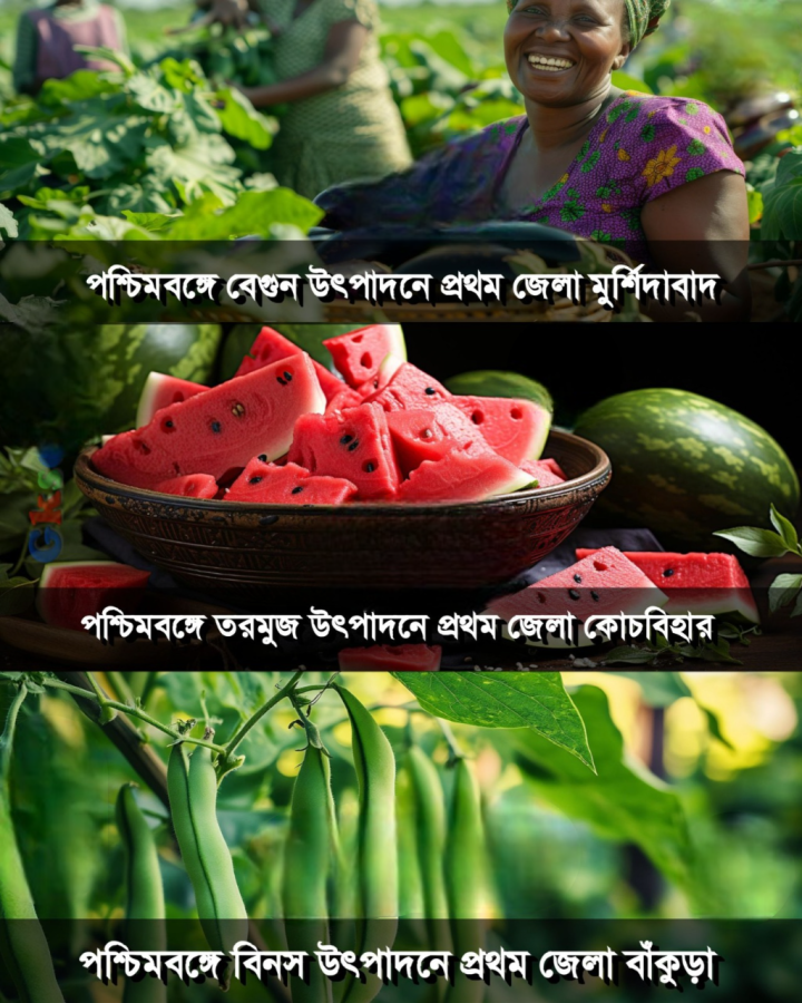 রাজ্যের কোন জেলায় কোন সব্জির ফলন সেরা জানেন?