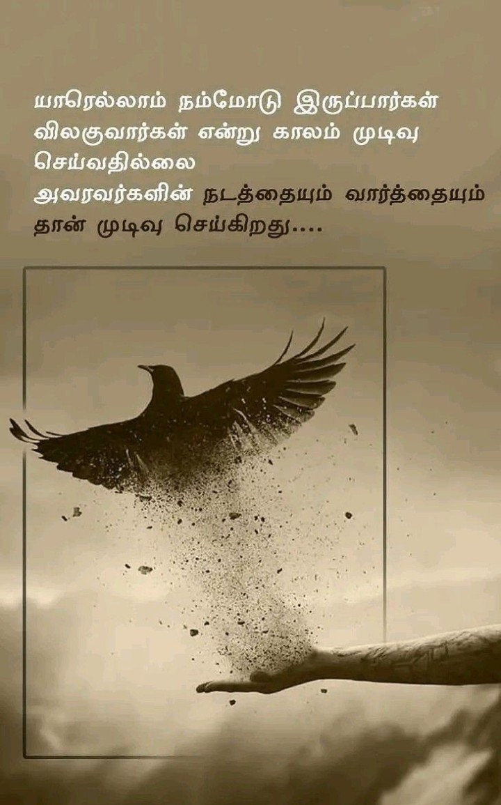 காலம் முடிவு செய்வதில்லை