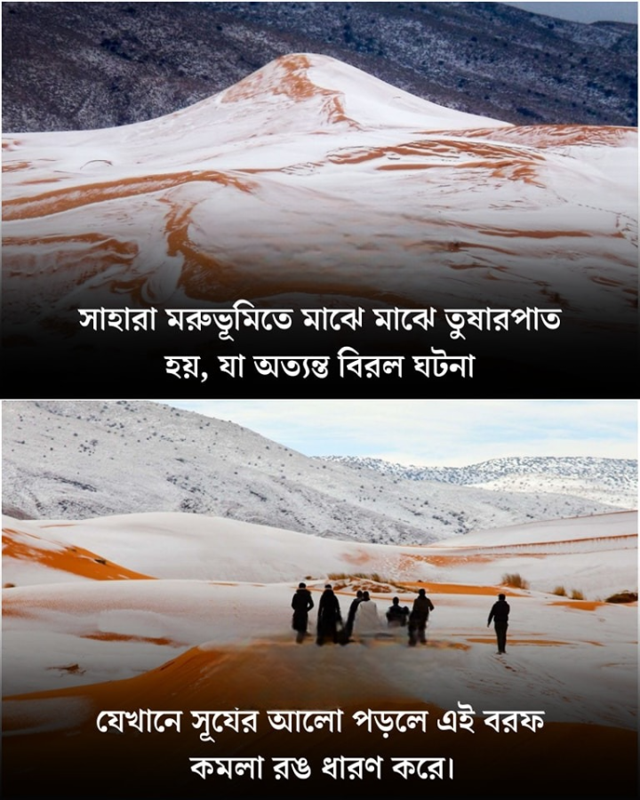 প্রকৃতির অবাক কাণ্ড।