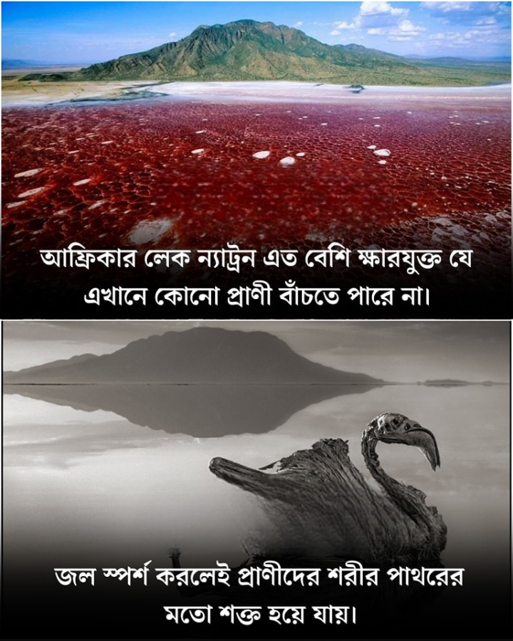 আফ্রিকার এই লেকটির বিষয়ে জানেন?