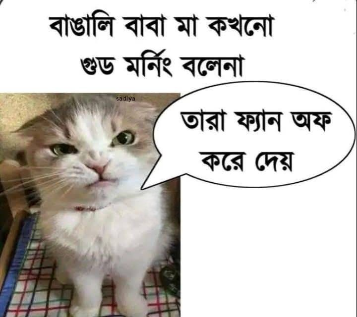 বাঙালি বাবা মা...