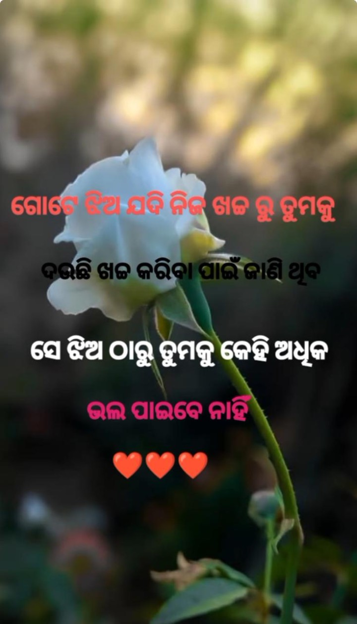 ସେ ଝିଅ ତମକୁ ଅଧିକ ଭଲ ପାଏ