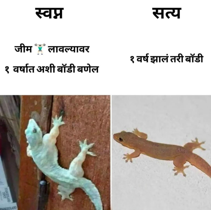 स्वप्न आणि सत्य