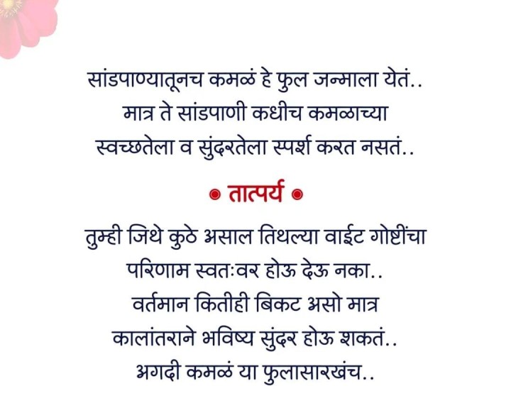 आयुष्याच्या वाटेवर