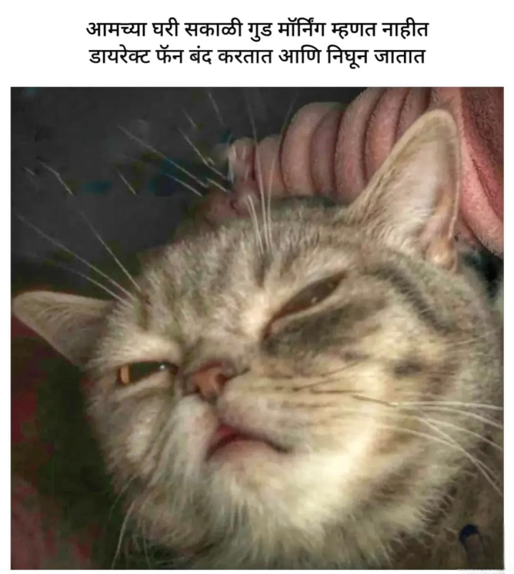 घरी गुड मॉर्निंग म्हणत नाहीत