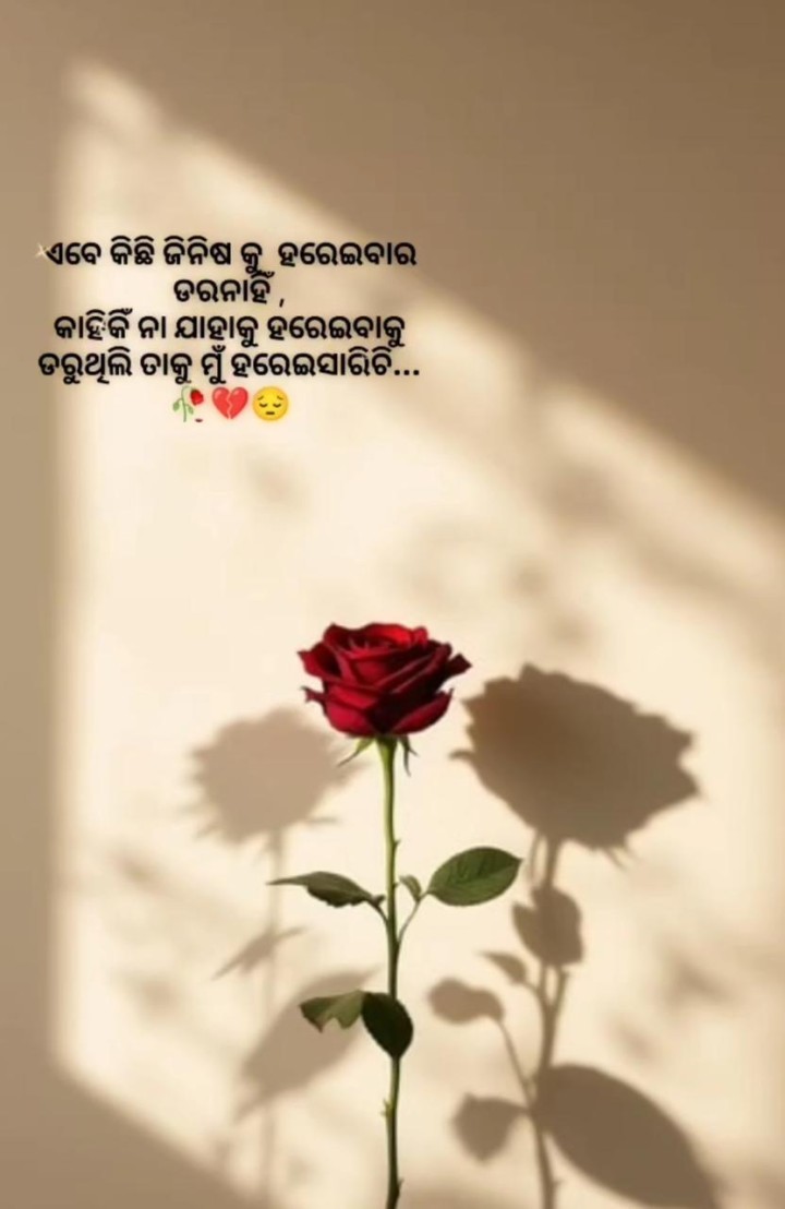 ଏବେ କିଛି କିଛି ଜିନିଷ କୁ ହରେଇବାର ଡର ନାହିଁ