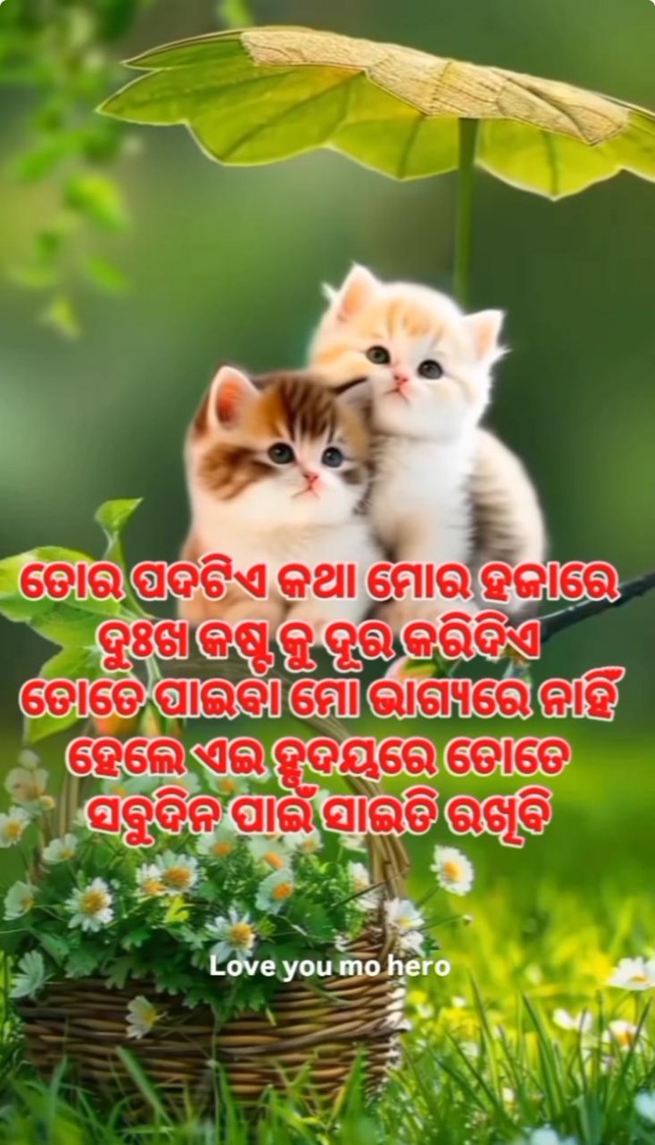 ତୋର ପଦ ଟିଏ କଥା ମୋର ହଜାର କଷ୍ଟ ଦୂର ହେଇ ଯାଏ