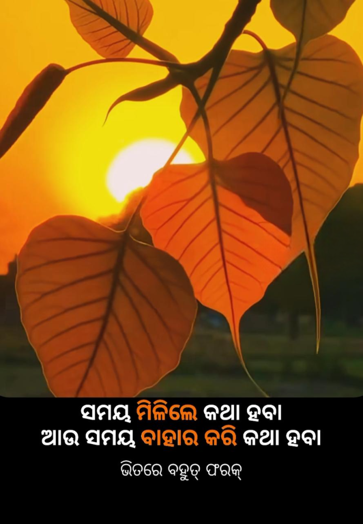 ସମୟ ମିଳିଲେ କଥା ହେବା